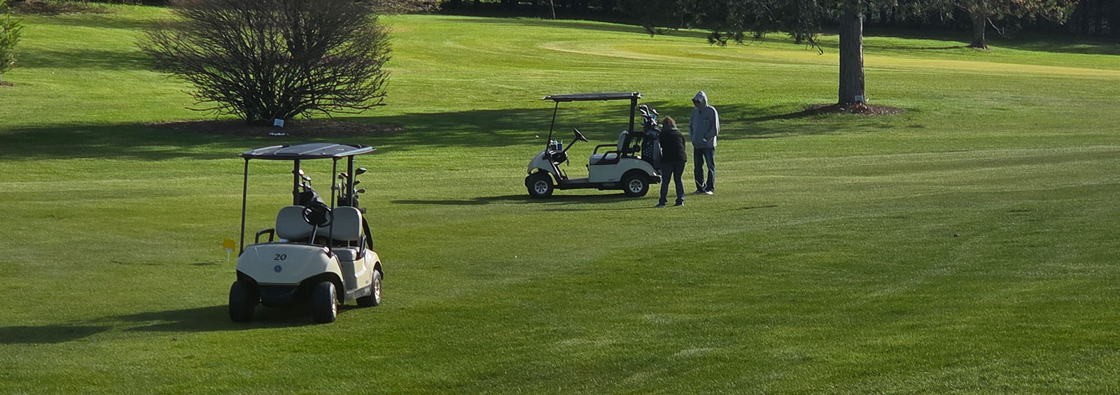 Golf Carts